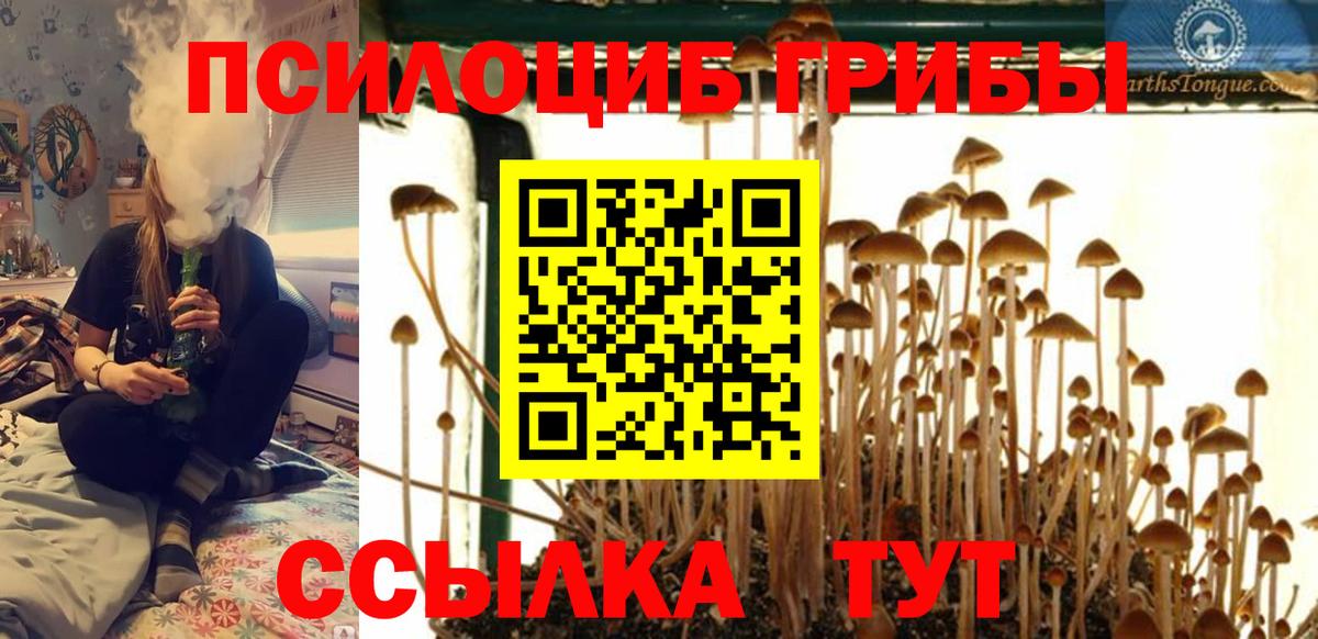 Минусинск  Псилоцибиновые грибы Magic Shrooms  Вход с VPN 